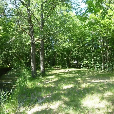 Notre Dame 3* Кастеллан