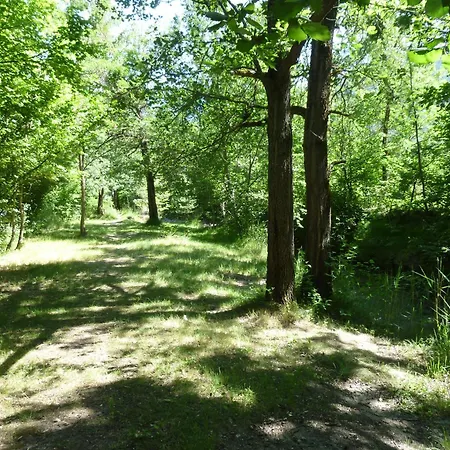 Notre Dame Кастеллан