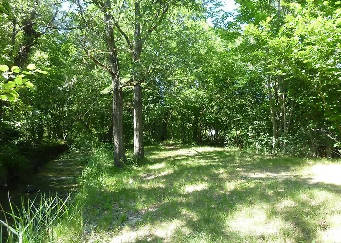 Notre Dame 3* Castellane