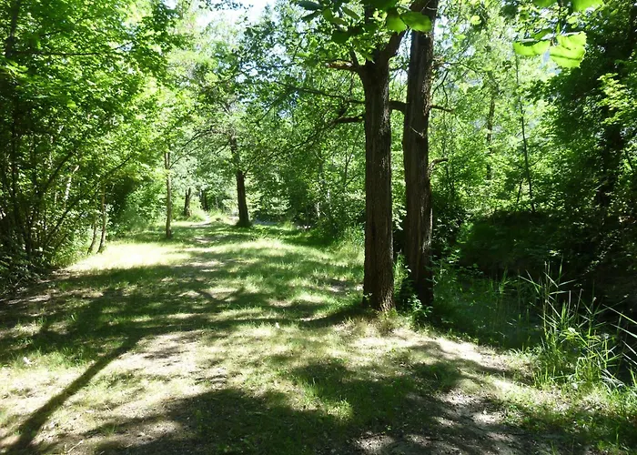 Notre Dame Castellane