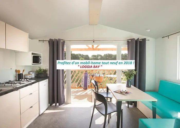 Notre Dame 카스텔란